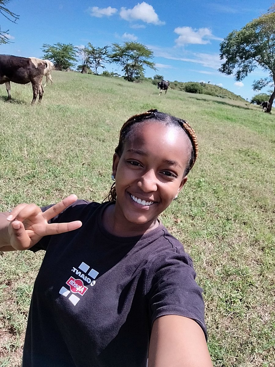 nashipae_2548's tweet image. Happy Tuesday ✌🏿🐄🐄