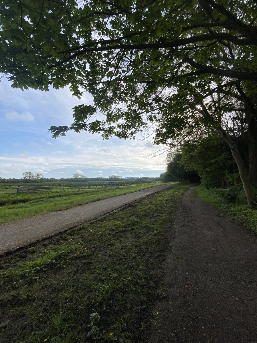 Beautiful morning in Amsterdamse Bos 🌳 #SaveSoilMovement #savesoil “It’s not about me, it’s not about the motorcycle: this is about moving people on the planet! #LetsMakeItHappen “