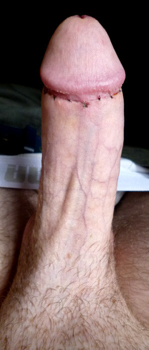 Piet Seerower 🇿🇦✂️ tweet media