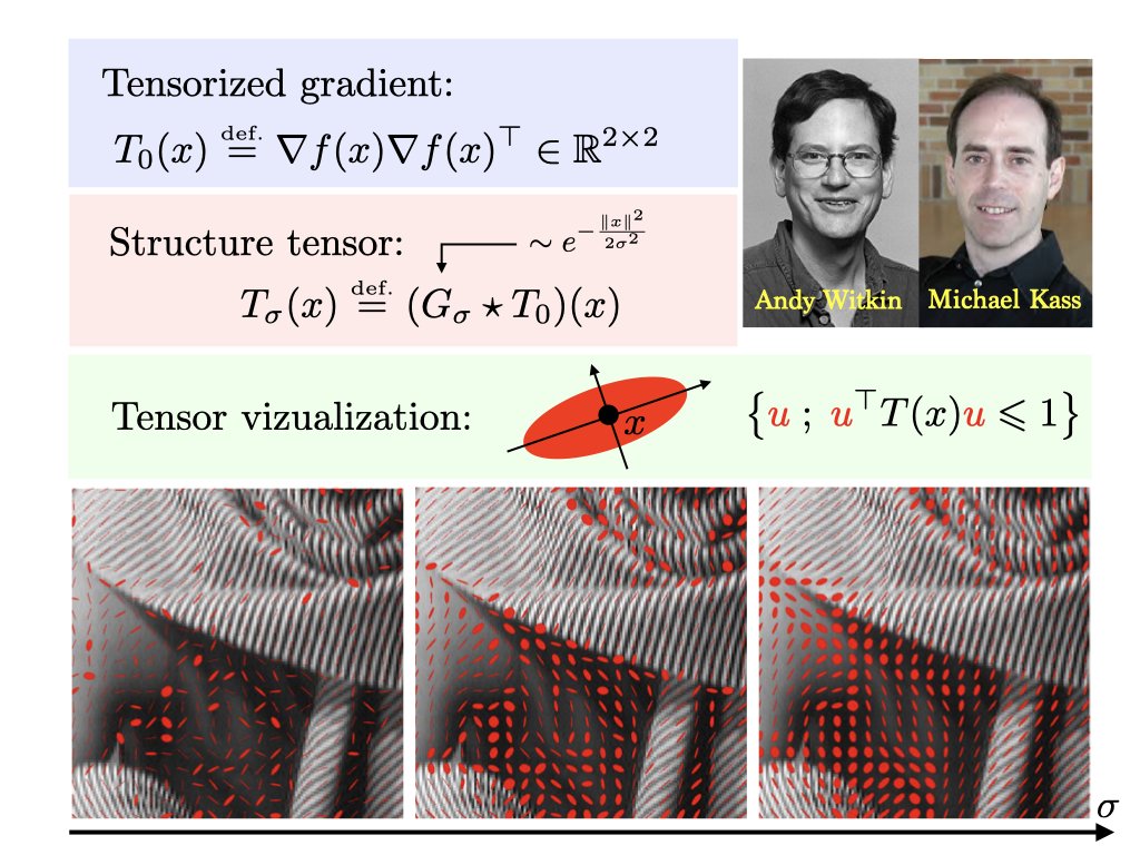 The structure tensor is the local covariance matrix field of the gradient vector field. It encodes the local anisotropy of an image. At the heart of anisotropic filtering and corner detection. en.wikipedia.org/wiki/Structure…