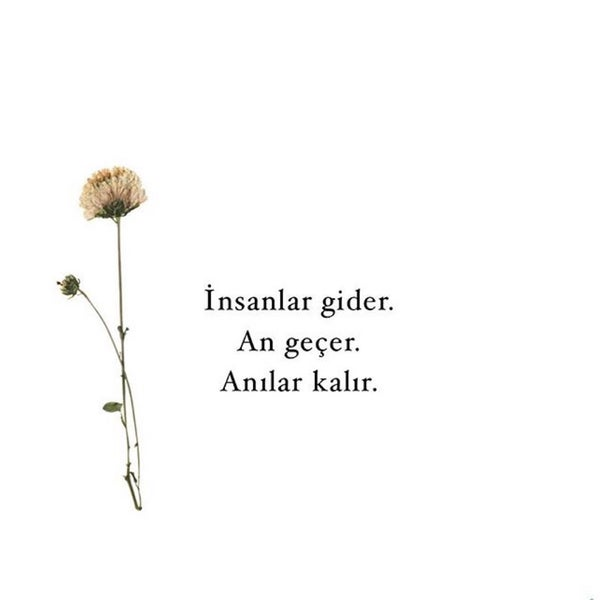 #varamayok Hissedilen Enflasyon a Emekliler den #isyanvar

#AstsubayTabanHareketi
#KIZILGONCALAR
Yusuf Tekin

🧿#BüyükAstsubayMitingi 🧿

#HakkımıArıyorum

Biteviye #SözVerdiYapmadı ki hiç✔️

@szctelevizyonu
@nowhaber
@gazetesozcu
@eczozgurozel
@selinsayekboke
@CHPMuratBakan