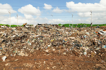 Our city's skyline should be defined by progress, not pollution! This image of plastic waste piling up in our streets is a wake-up call for us all. It's time for action! Let's work together to find innovative green solutions to create a cleaner, greener future #CleanCity