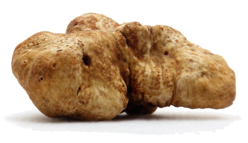 News from @LeibnizLSB research: Spring truffles or exquisite Piedmontese #truffles? / New analytical method can detect food fraud leibniz-lsb.de/en/press-publi… #Food fraud nachrichten.idw-online.de/2024/04/30/ine…