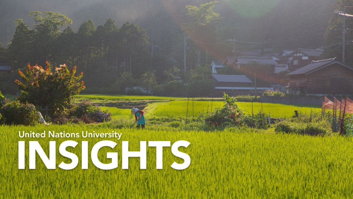 🗞️ In the April 2024 Edition of #UNUINSIGHTS: socioecological #Resilience, #Biodiversity and #Wellbeing, the connection between #Art and #UrbanTransformation, and more.

Read our latest works and explore academic & career opportunities at UNU ▶️ buff.ly/4b17Vp5