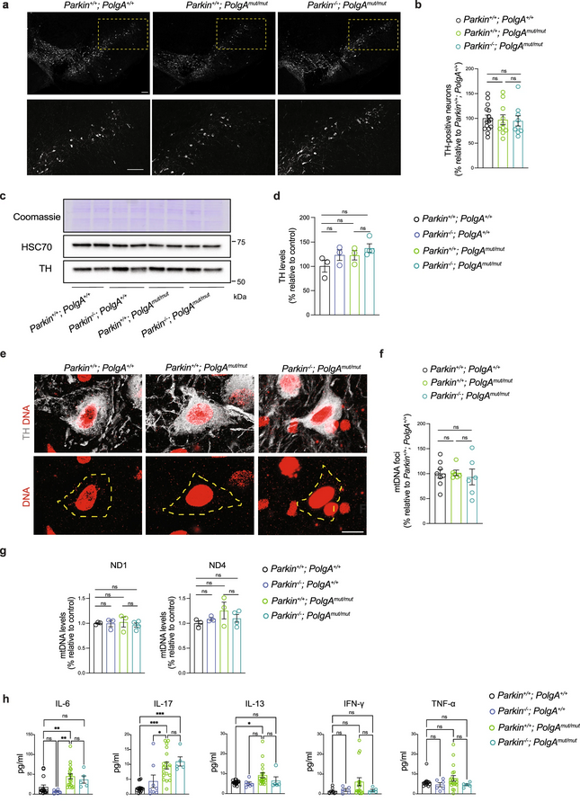The Science of Parkinson's tweet media