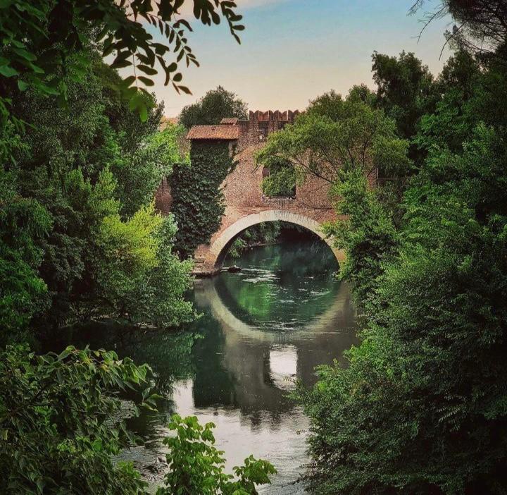 Conoscete #PonteNomentano? Si tratta di un vero e proprio concentrato di natura e storia nel cuore della Riserva Naturale Valle dell' #Aniene 👉parchilazio.it/valledellanien… 📷 Ig enteromanatura #VisitLazio #LazioIsMe #LazioEternaScoperta