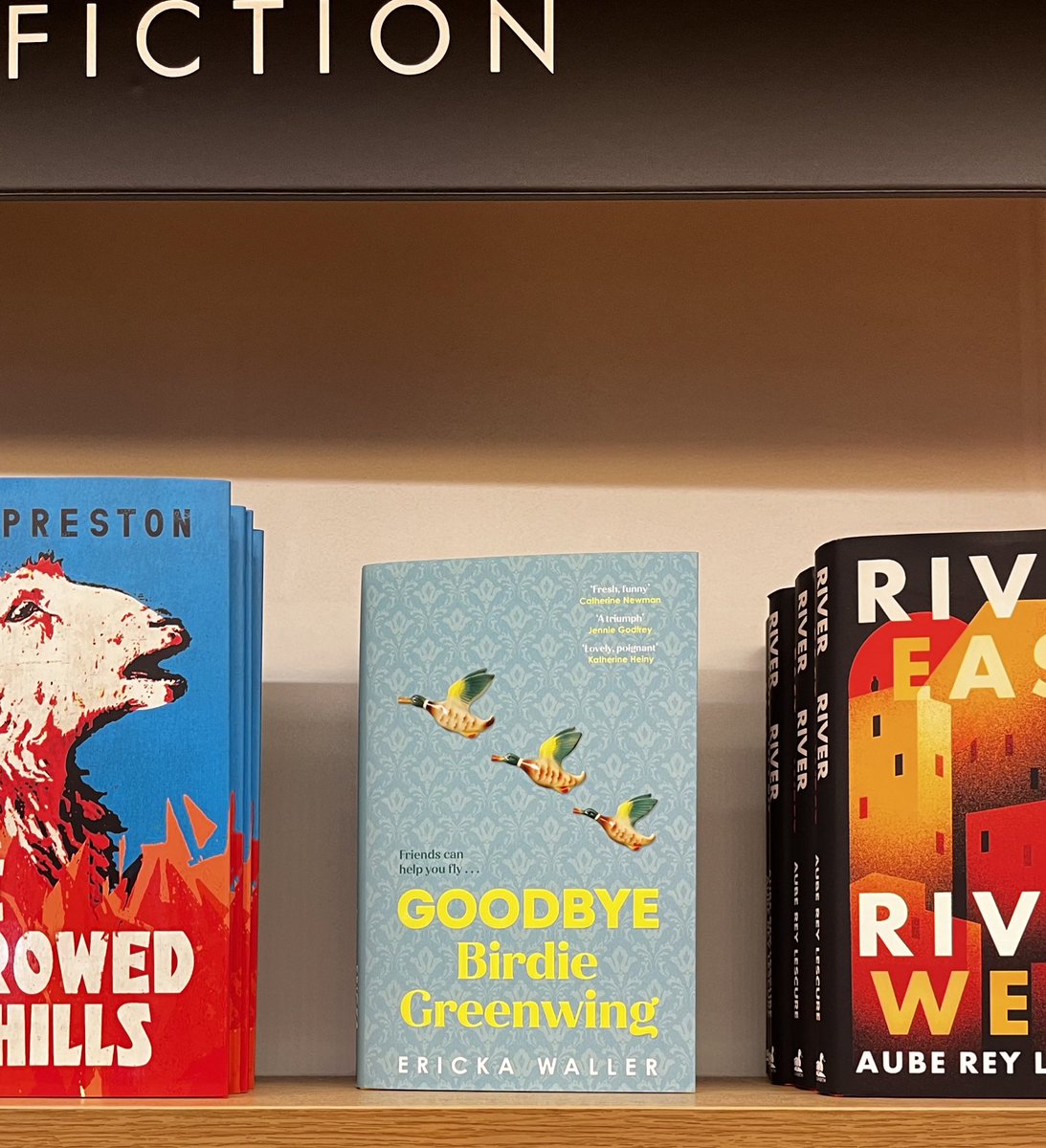 I can’t go into a bookshop these days without saying hello (and goodbye) to all my friends. Here’s the wonderful Birdie Greenwing by @ErickaWaller1 hanging in in the new fiction section of @WaterstonesPicc 🥰🦆🦆🦆