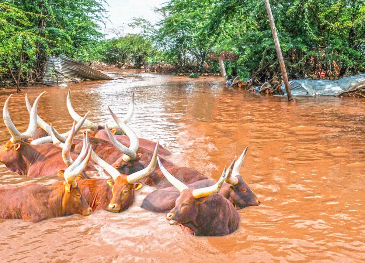 On 27 April, flash floods inundated roads connecting Dhobley and Afmadow districts in Jubaland State, temporarily makiNg the roads impassable.#SinkingCities
Act of God
Not just Nairobi