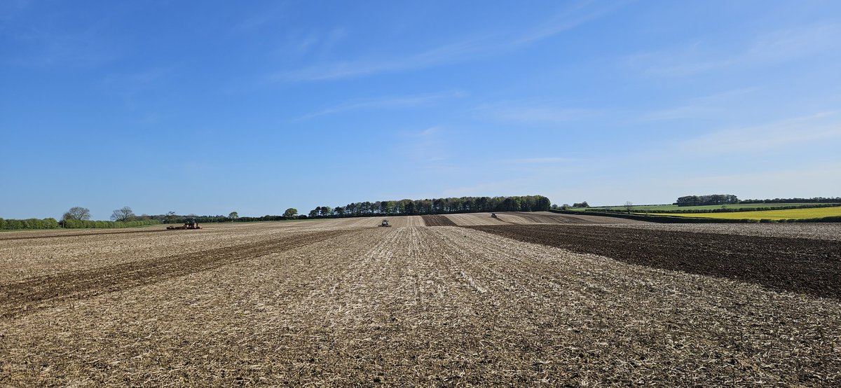 Connor Tindall-Read (@connortr) on Twitter photo Sugarbeet cultivation trial day! This year's trial should be really interesting with the introduction of strip til being put in by <a href="/JackRobinson80/">Jack Robinson</a> Sugarbeet cultivation trial day! This year's trial should be really interesting with the introduction of strip til being put in by <a href="/JackRobinson80/">Jack Robinson</a>