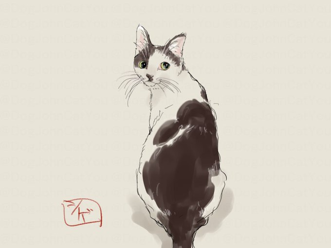 「grey background whiskers」 illustration images(Latest)