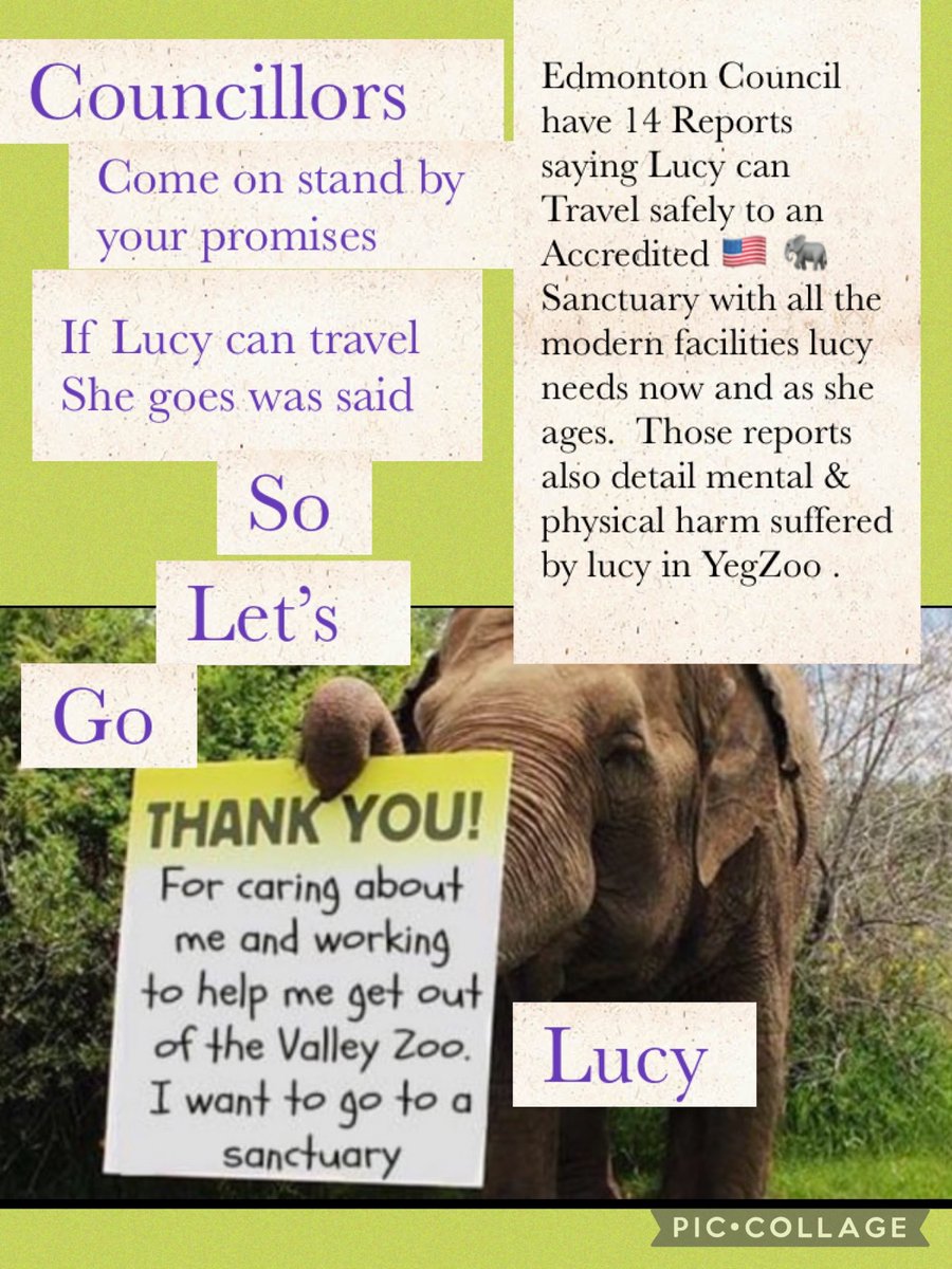 @Cosmicbrigade @AmarjeetSohiYEG @AB_Enviro @YourAlberta @TravelAlberta @edmontonjournal @edmonton_anne @CBCEdmonton @EdmontonClerk @CBCCanada 🐘❤️‍🩹Lucy in #yegzoo her injuries are primarily internal so the public are easily kept in ignorance. Edmonton possess many reports by🐘vets detailing shocking neglect harm caused to🐘. Will Bill20 raise the bar it’s no longer ok for council to sit on evidence shirk lawful duties.