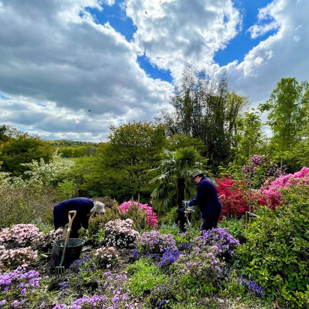 Thank you to Jessica for this great shot of her fellow garden volunteers hard at work at Scotney Castle. The colours are just stunning at the moment. Do come along and see for yourself. #GardeningTwitter #volunteering @TWellsTourism @southeastNT
