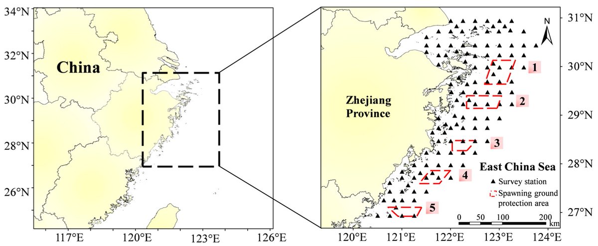 🐟 High Viewed ✍️ 'The Factors Driving the Spatial Variation in the Selection of #Spawning Grounds for #Sepiella japonica in Offshore Zhejiang Province, China' by Tian Wu et al. 👉mdpi.com/2410-3888/9/1/… 📌#resource_center #marine_environment