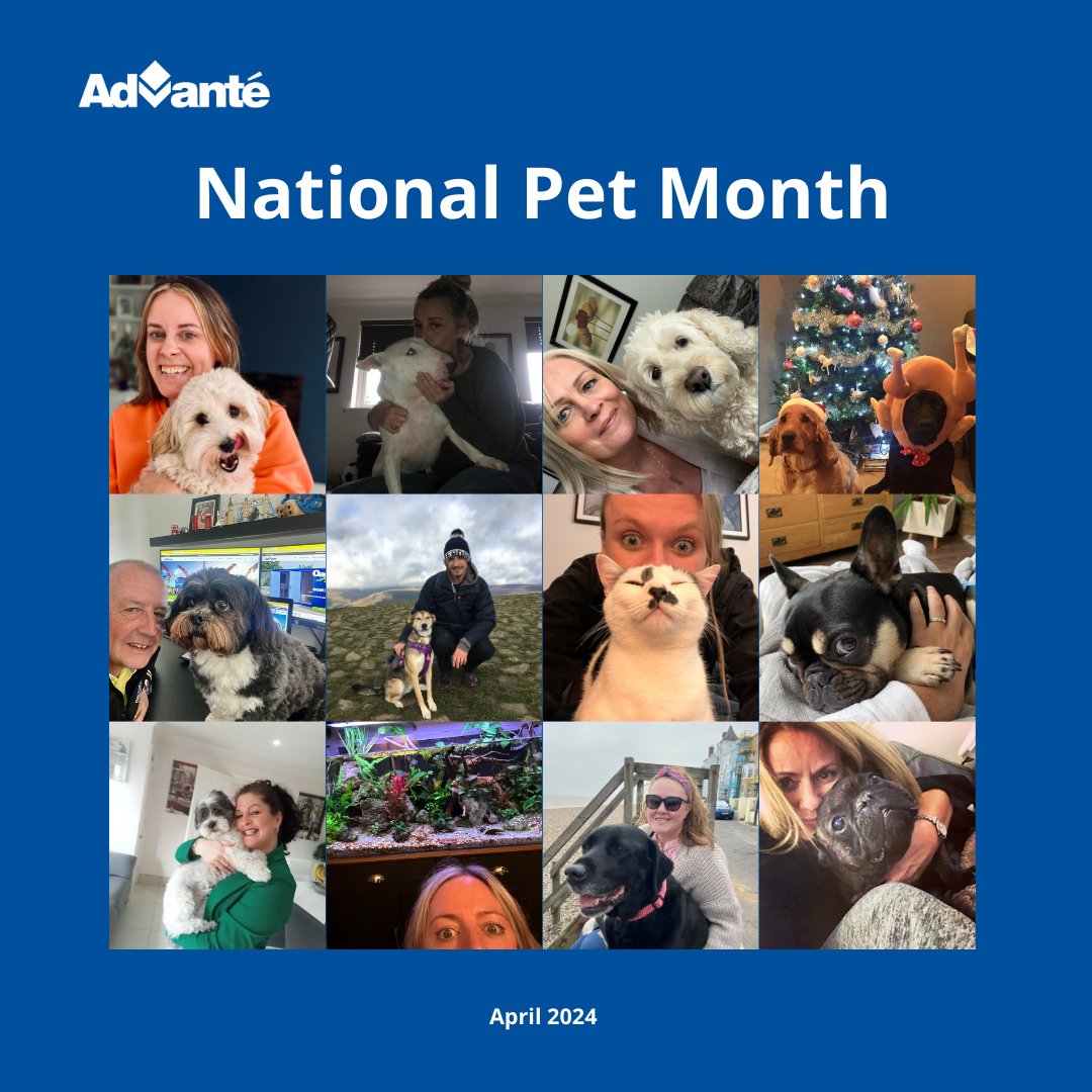 Happy National Pet Month! 🐾
 
To wrap up the end of National Pet Month, our colleagues have been sharing pictures of their beloved animals.
 
Anybody would think it’s National Dog Day!😄 Can you spot any other animals? #nationalpetmonth #nationaldogday #morethanjustwelfare