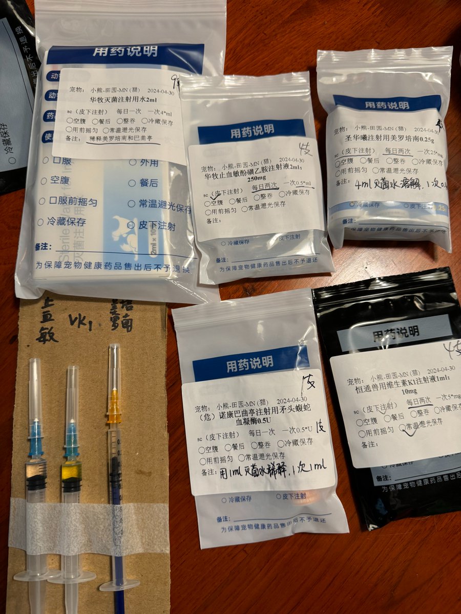 熟练掌握家用宠物注射技巧