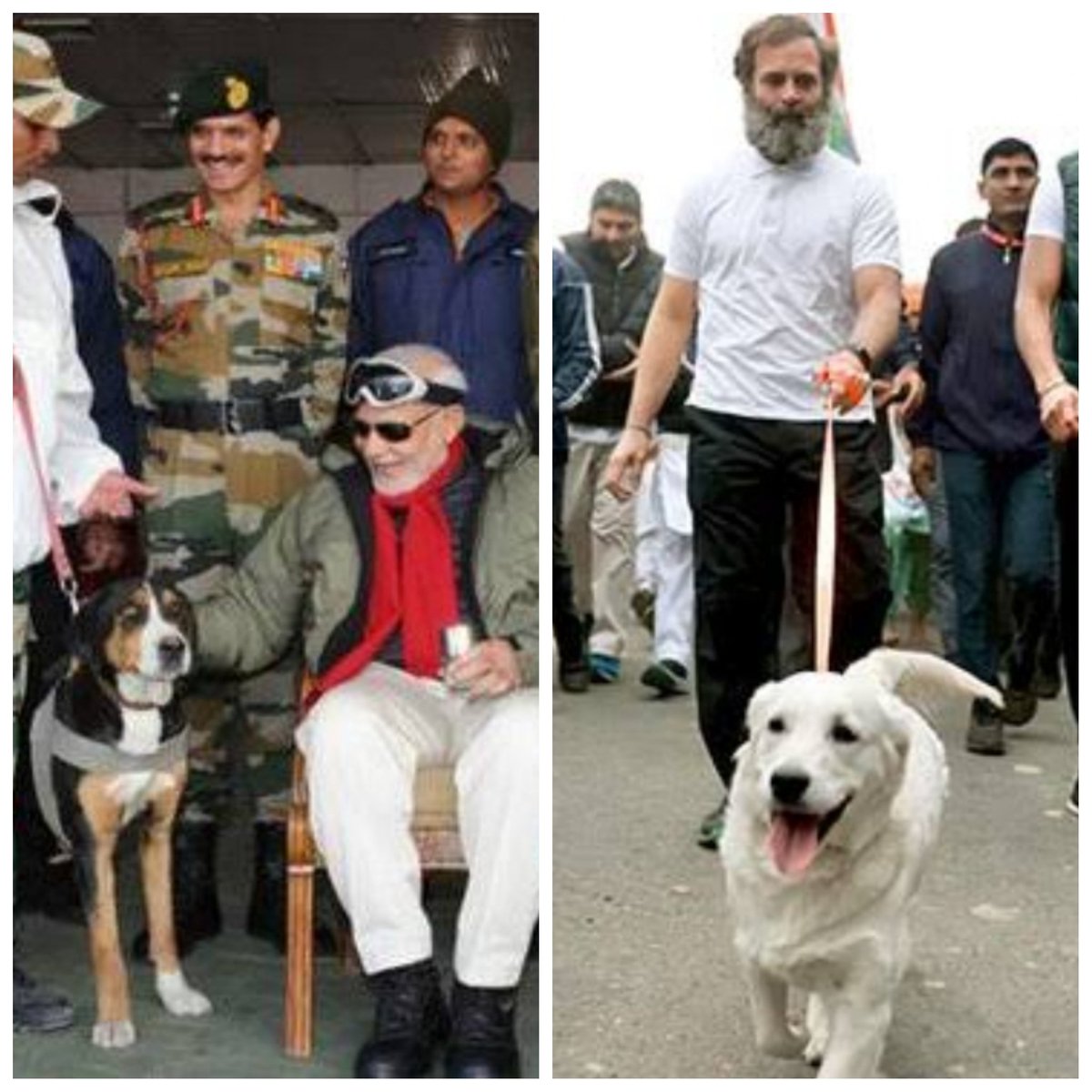 This is This is @narendramodi @RahulGandhi Both love dogs, their parties are vying for the electoral seat in Nagaland. However, neither has made efforts to end the slaughter of 𝗱𝗼𝗴𝘀 𝗳𝗼𝗿 𝗺𝗲𝗮𝘁 in Nagaland. So, what does this say ?