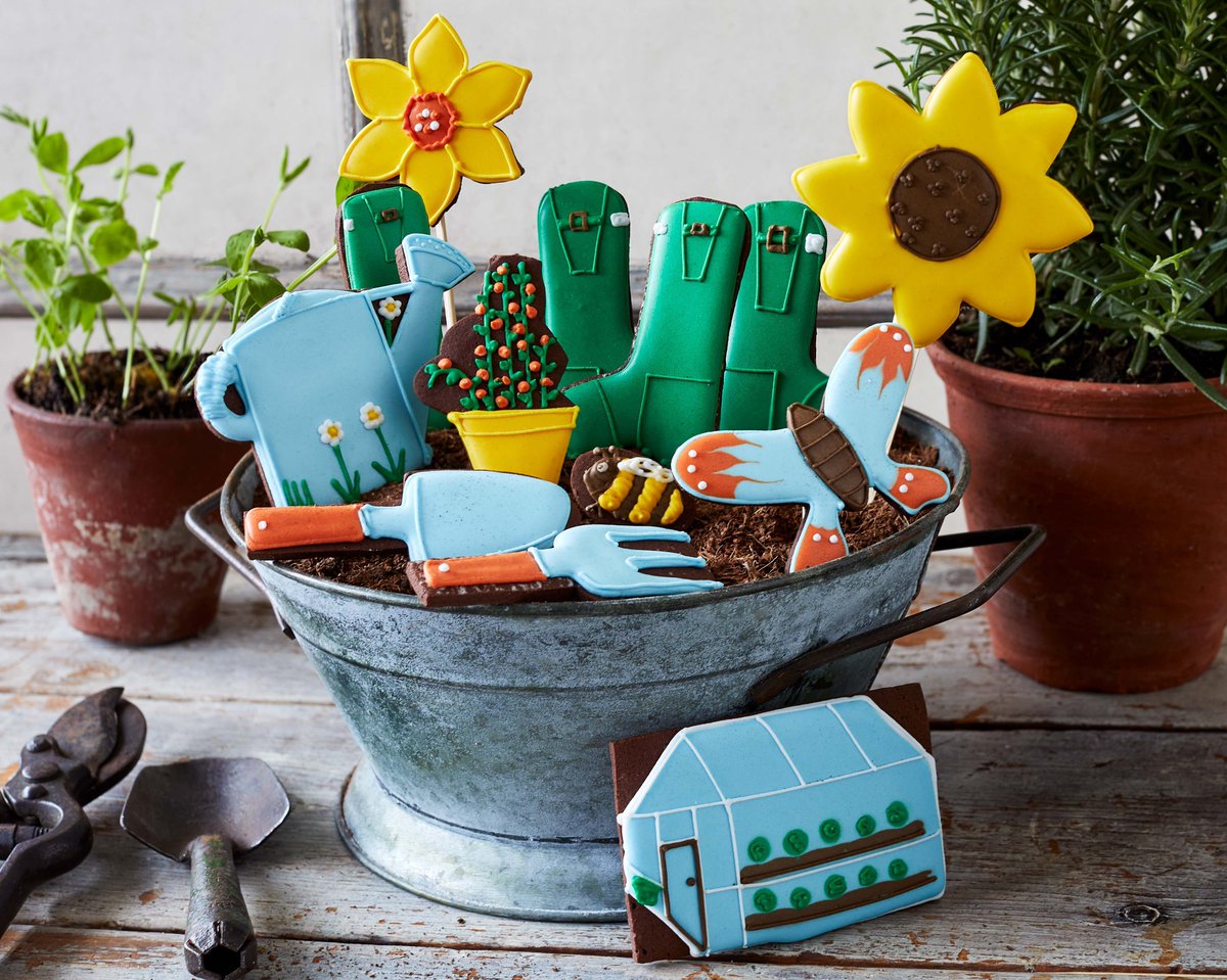 The best reward for a hard days work of gardening? Garden themed biscuits, of course! 🪴 Shop here: buff.ly/433dYFI