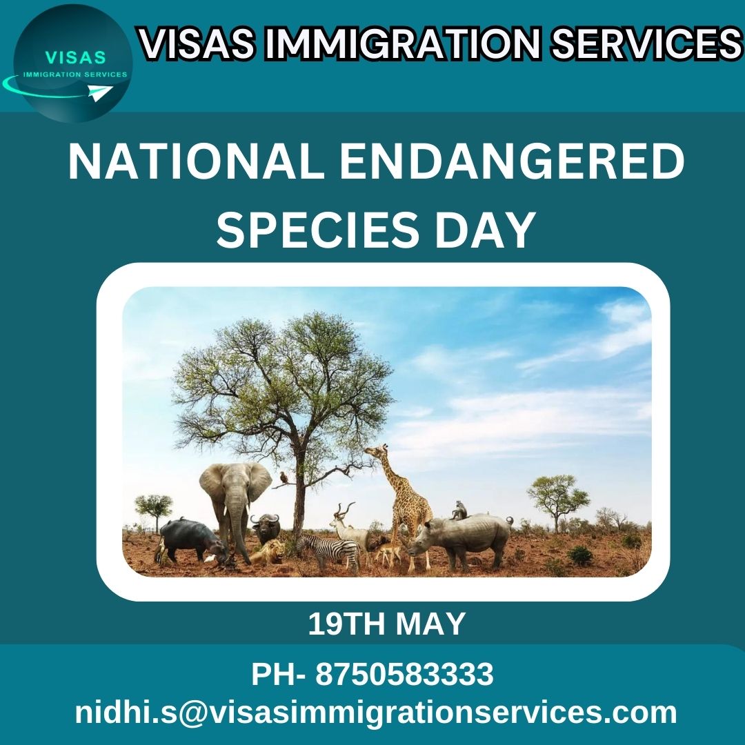 Raising awareness and protecting biodiversity on National Endangered Species Day 🌍🐾 #EndangeredSpeciesDay #ProtectWildlife #ConservationEfforts #Biodiversity #WildlifeProtection #NaturePreservation #SpeciesConservation #SaveEndangeredSpecies #EnvironmentalAwareness