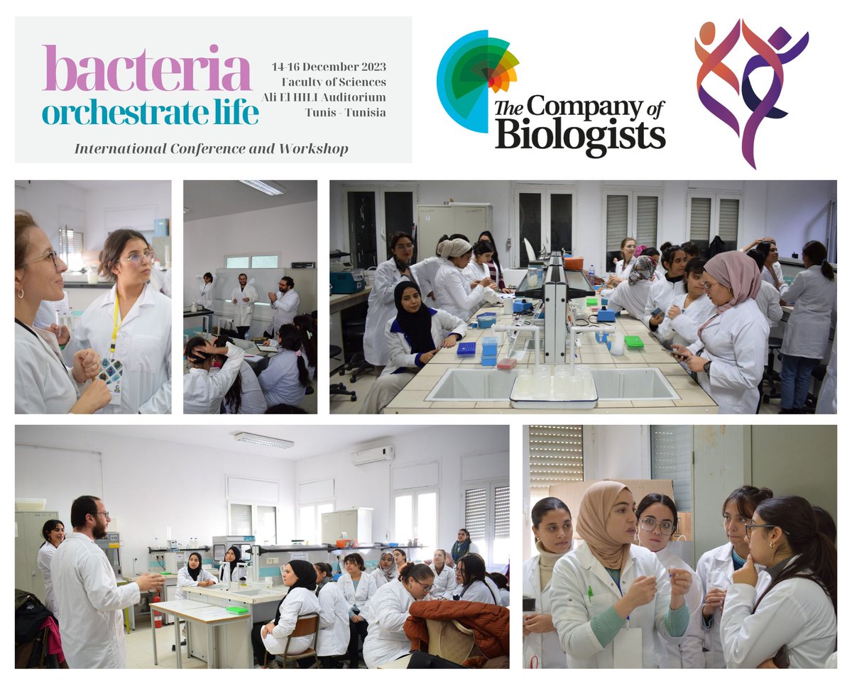 In this Meeting Review, @mohamedjema1 documents the Bacteria Orchestrate Life meeting held in Tunis, Tunisia, highlighting the key papers from the conference and the practical sessions. #OA journals.biologists.com/bio/article/13…