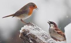 OVERHEARD IN AN RCHARD: Said the Robin to the Sparrow “I should really like to know, Why these anxious human beings Rush around and worry so?” Said the Sparrow to the Robin, “Friend I think that it must be That they have no Heavenly Father Such as cares for you and me.”