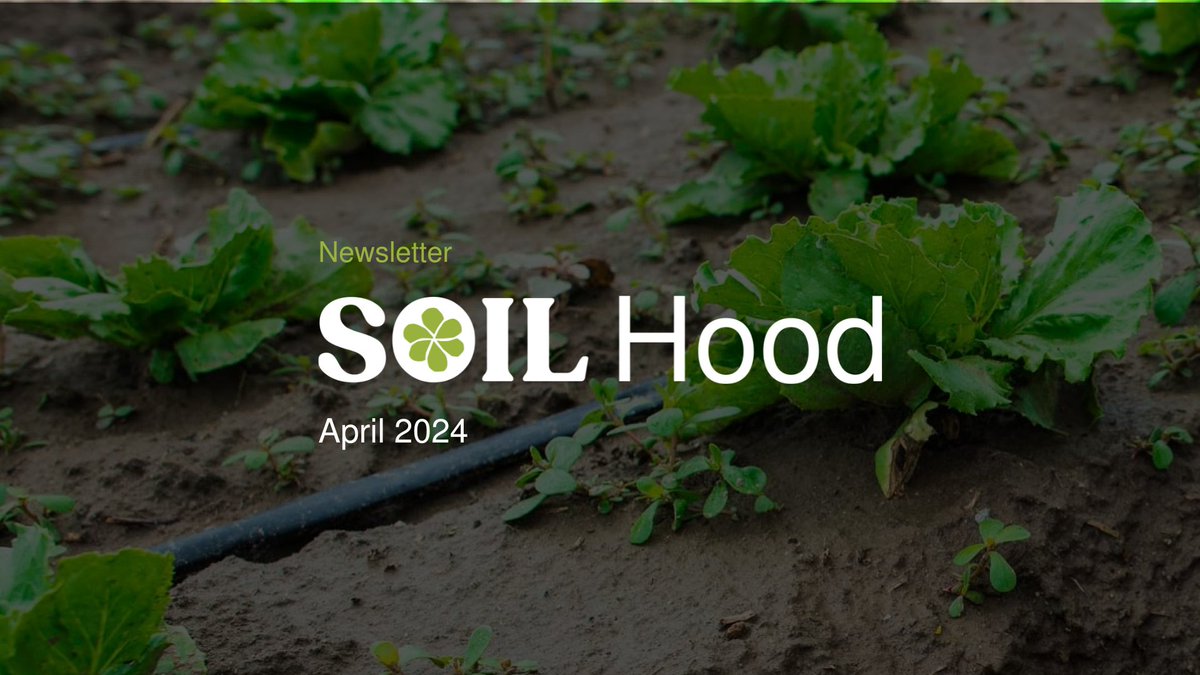 🆕 📬 In the first edition of #SoilHood for 2024 we bring you the latest information about the #NBSOILAcademy, share articles and offer valuable resources to keep you up to date in the world of #soil. Let's dive into the world of soil together! ⤵️ nbsoil.eu/newsletter/soi…