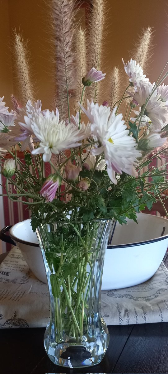 Filling the pots with Asters in the Station master cottage. 
Guests arriving this afternoon. 
Have you made your booking yet. 
#stationmastercottage #kameelhuisetussenspore #kameelrustandvrede #guestaccommodation #KameelZA 
#Kameel #Noordwes 

kameelrustandvrede.co.za