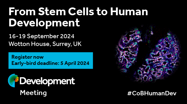 Last few days left to secure your early-bird place at @Dev_journal's #CoBHumanDev meeting in September, organised by James Briscoe @briscoejames, Olivier Pourquié & Emma Rawlins @LabRawlins Apply to attend by Friday 3 May at biologists.com/meetings/human…