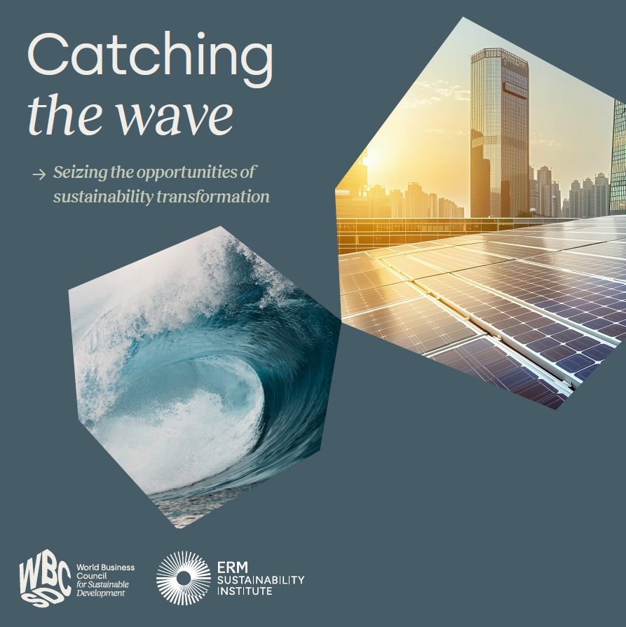 🌿What practical steps can companies take to drive immediate action aligned with long-term #sustainability ambition & market success? 👉Find out in our new report by WBCSD & @SustInsti ‘Catching the Wave’: wbcsd.org/Overview/News-…