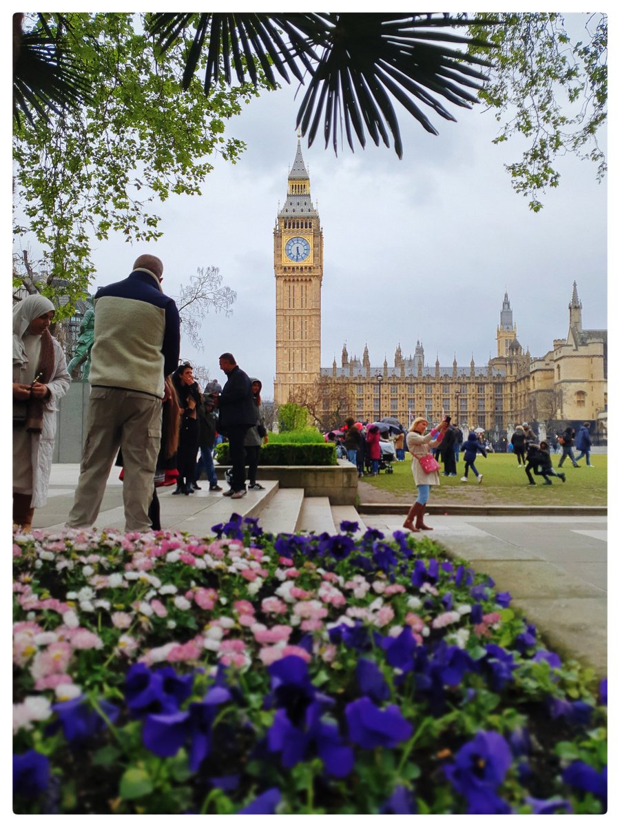 One of those days when I feel like being a tourist in London and I love it 😊 #mobilephotography #streetphotography #streetphotographyworldwide #purestreetphotography #visitlondon #londonphotography #parlimentsquare #bigben