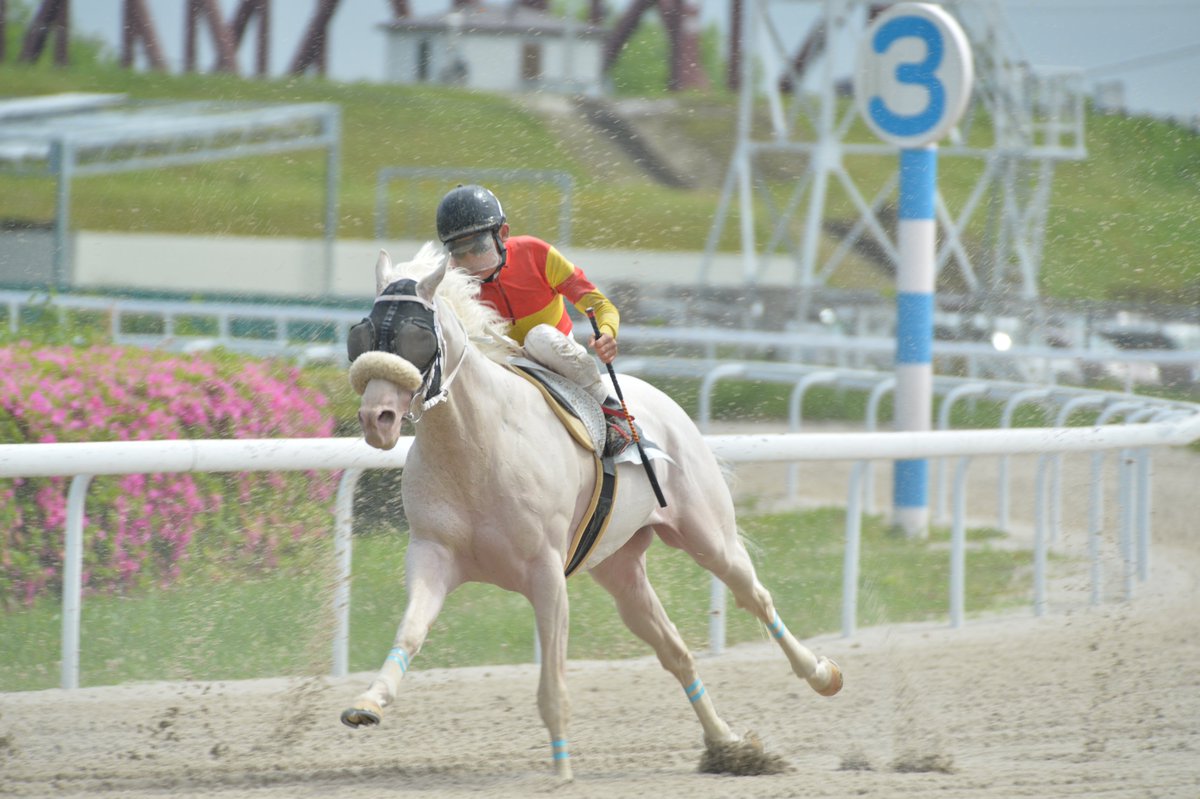 2024年4月30日笠松競馬場6R アオラキ #アオラキ