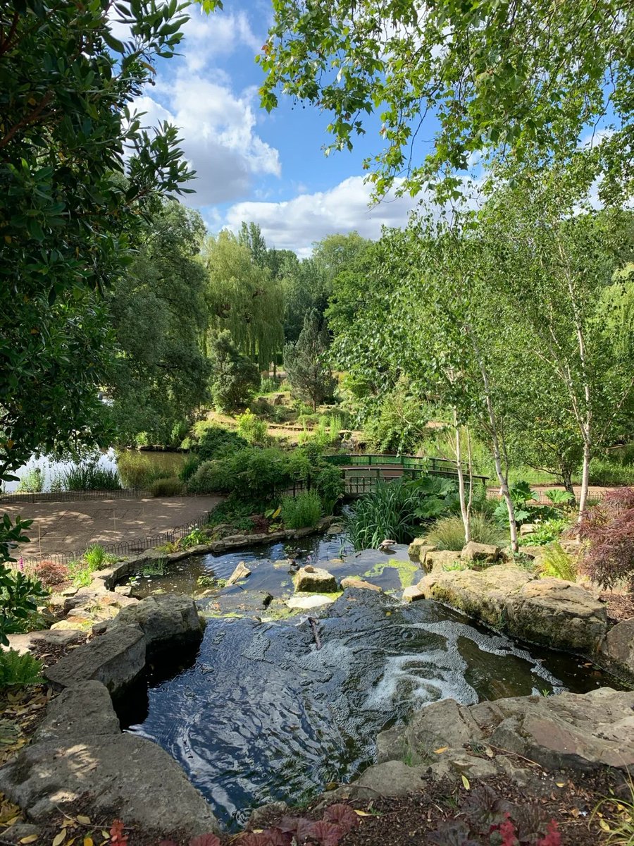 luaar22's tweet image. "Adopt the pace of nature.