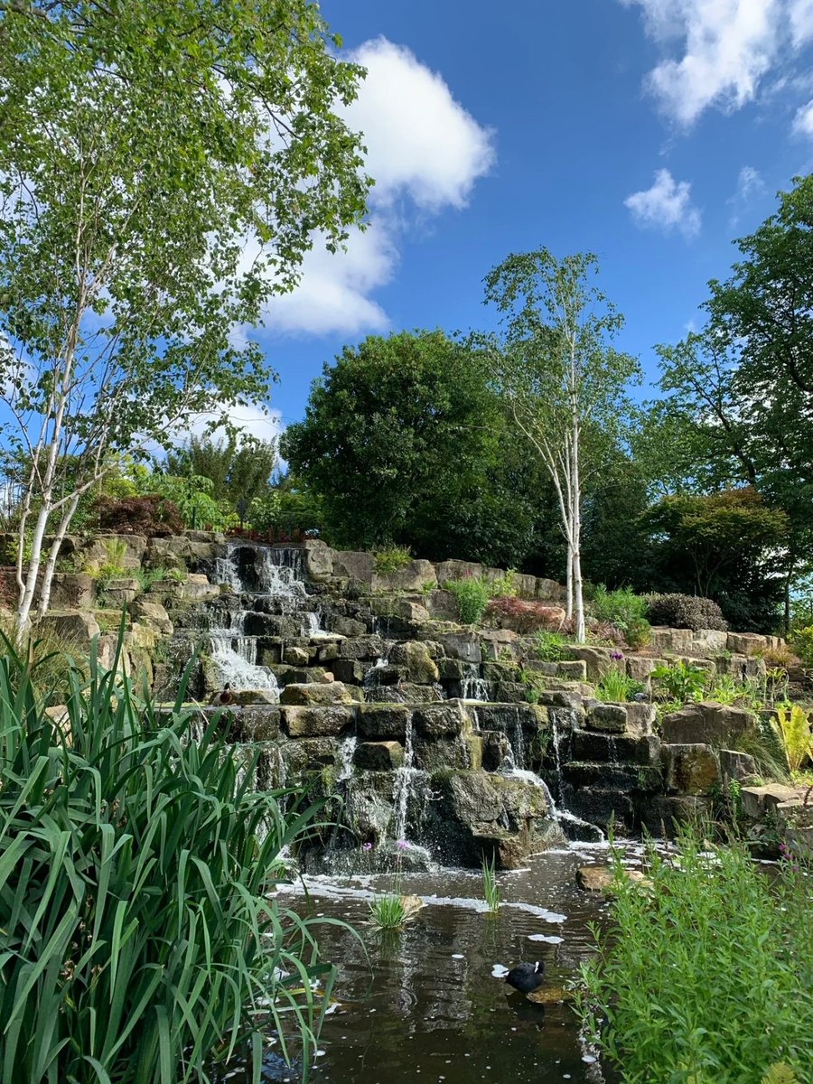 luaar22's tweet image. "Adopt the pace of nature.