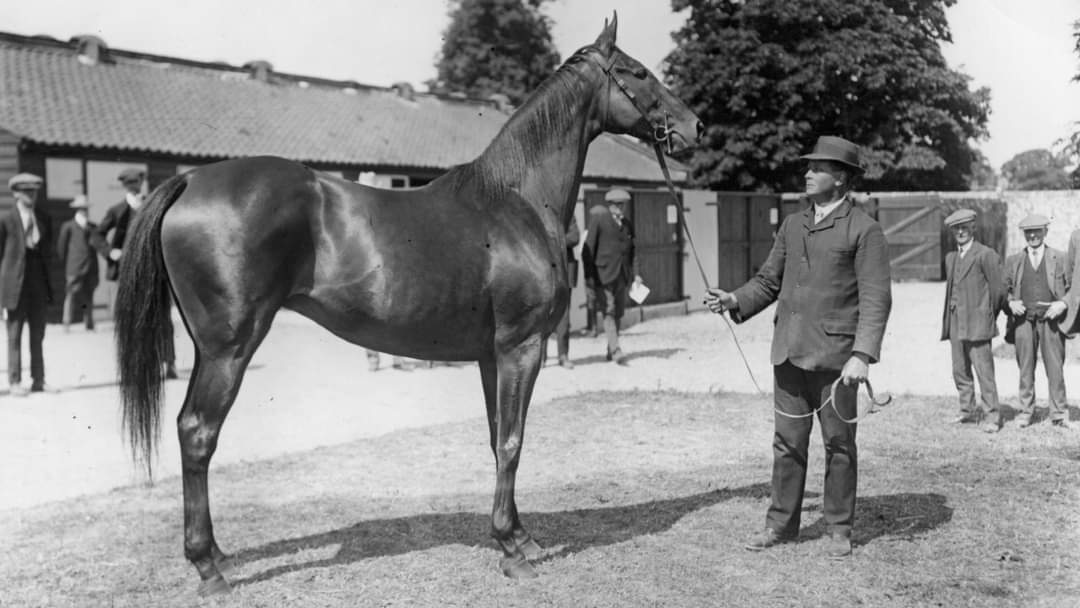 Sceptre was a giant of the English Turf. Along with her unique record of four Classic victories, this remarkable filly with an iron constitution, contested the Derby, Oaks, Grand Prix de Paris, Coronation Stakes and St James's Palace Stakes in little more than a fortnight in 1902