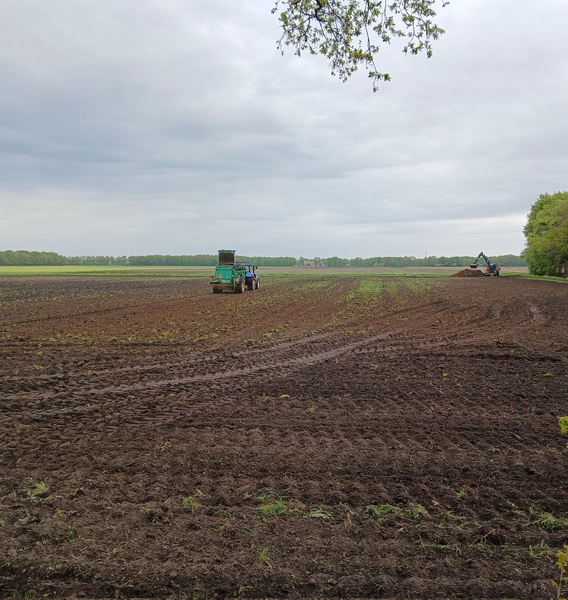 Vaste mest strooien, goed voor bodem en biodiversiteit, afkomstig van onze stallen waarbij onze vleesstieren liggen op een strobed.
#bemesten
#eigenkringlooplandbouw
#weetwatjeeet