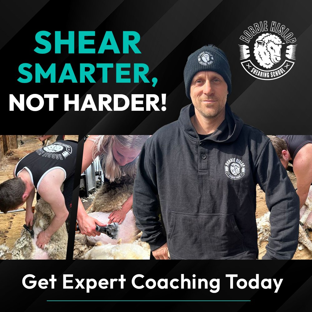 🐑🎯 Learn the secrets to efficient and effective sheep shearing. Our expert tips will help you shear smarter, achieving more with less effort ⤵️
shearingschool.co.uk/sheep-shearing…  

Get personalised expert coaching today!

#shearing #sheep #wool #farmlife #sheepshearing #sheepuk #sheep