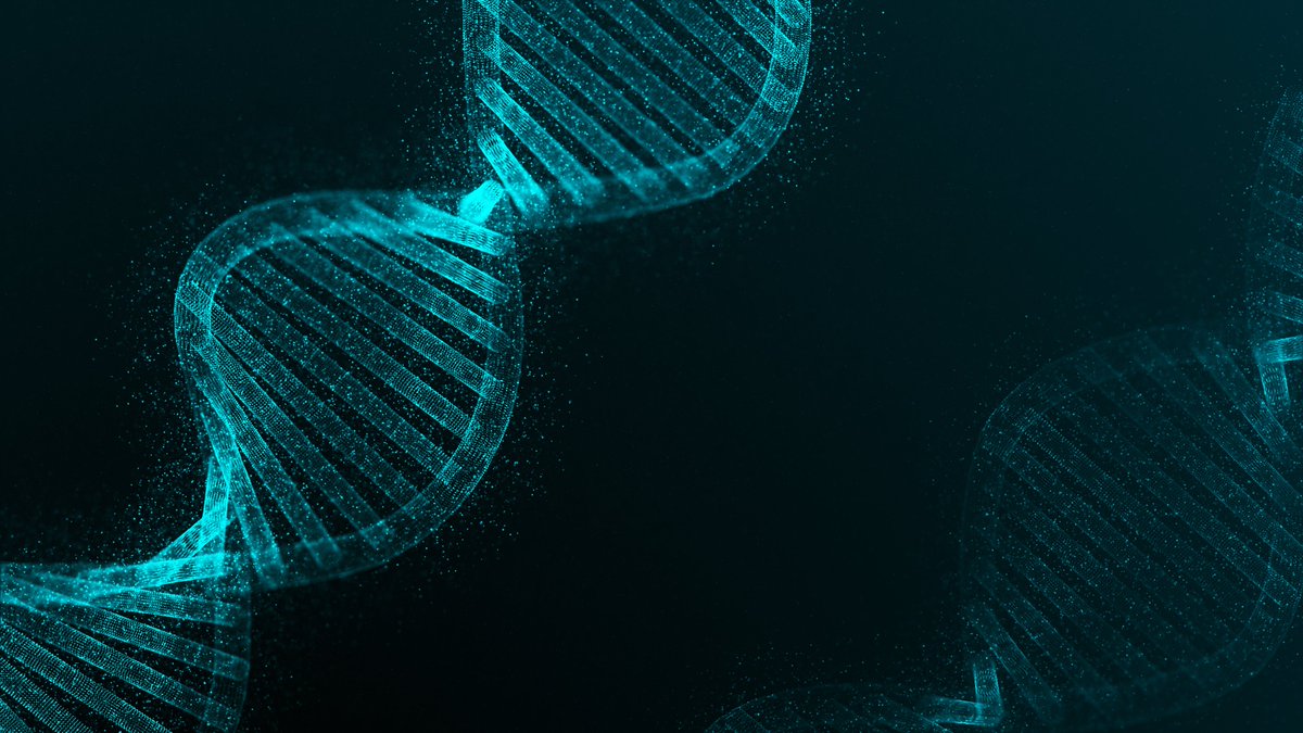 Gene expression changes the three-dimensional folding of chromosomes by altering the structure of the DNA helix, a new study in @MolecularCell shows.