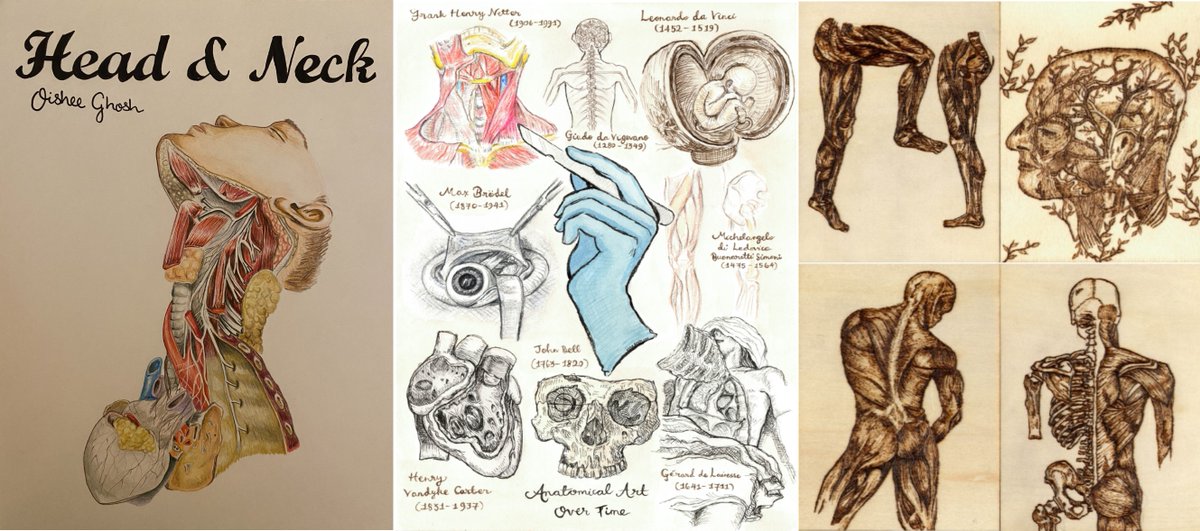 Beautiful work by the finalists of our DPAG Prize in Anatomical Illustration dpag.ox.ac.uk/news/dpag-priz…