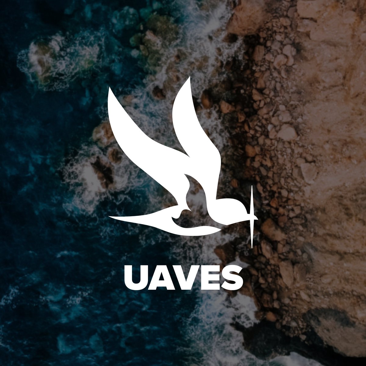 Interested in seabirds and marine mammal monitoring + innovative approaches ? Give the U-AVES project (@UAVES_) a follow for updates on our trials and development of UAV techniques for offshore ecological surveys 🐧🐬🐳🛩️ twitter.com/UAVES_