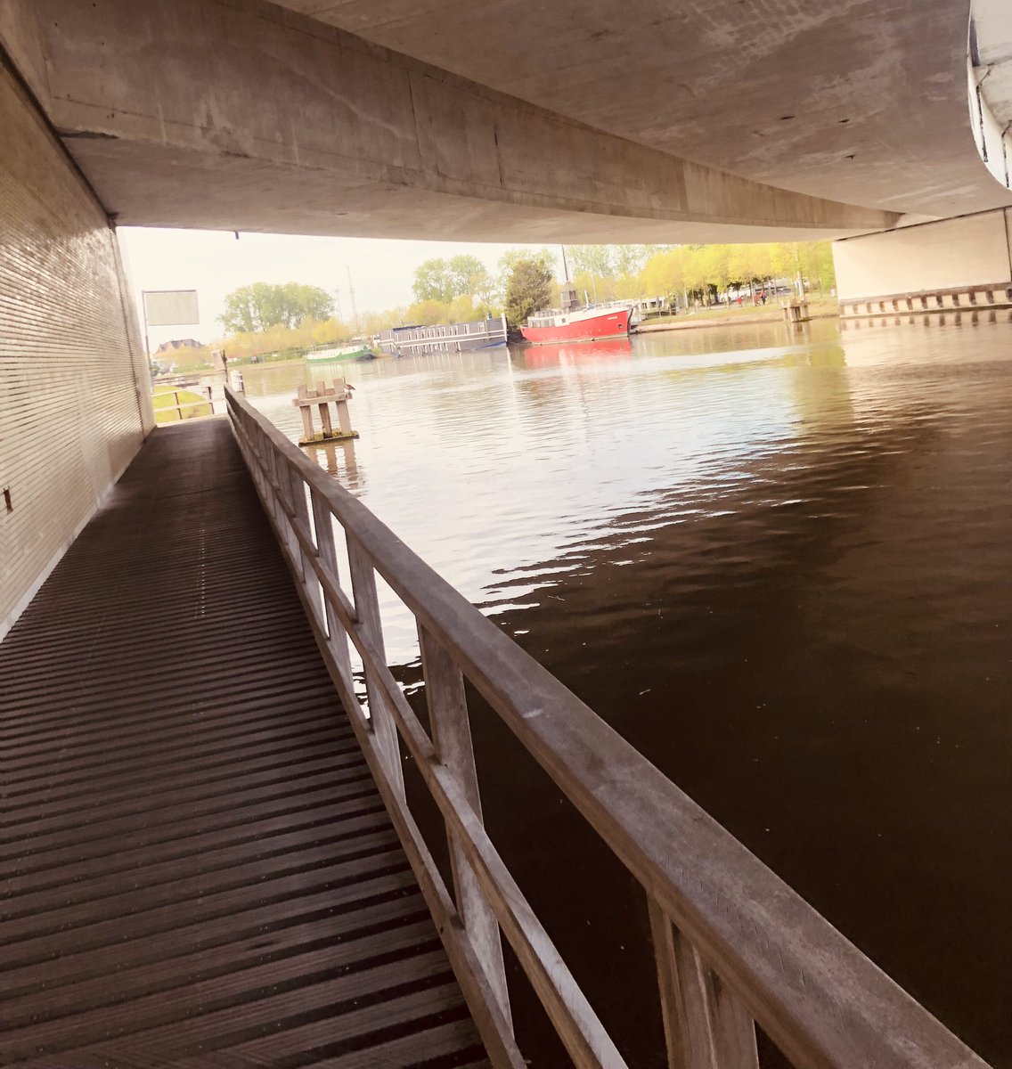 Zo, een redelijk flukse 8km gelopen met een goed gemoed en fluitende vogels. Ik spotte een sluipschutter in het gewas. #voordenoenloopje