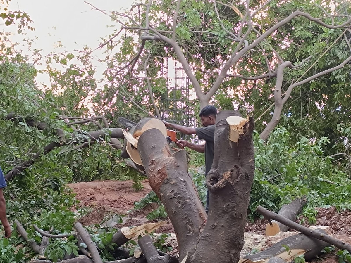 @BBMPCOMM  BBMP gives permission to cut trees on govt land during heat wave, location 1st main, poorna prajna Nagar, uttarhalli-Kengeri road . 

It should be stopped.