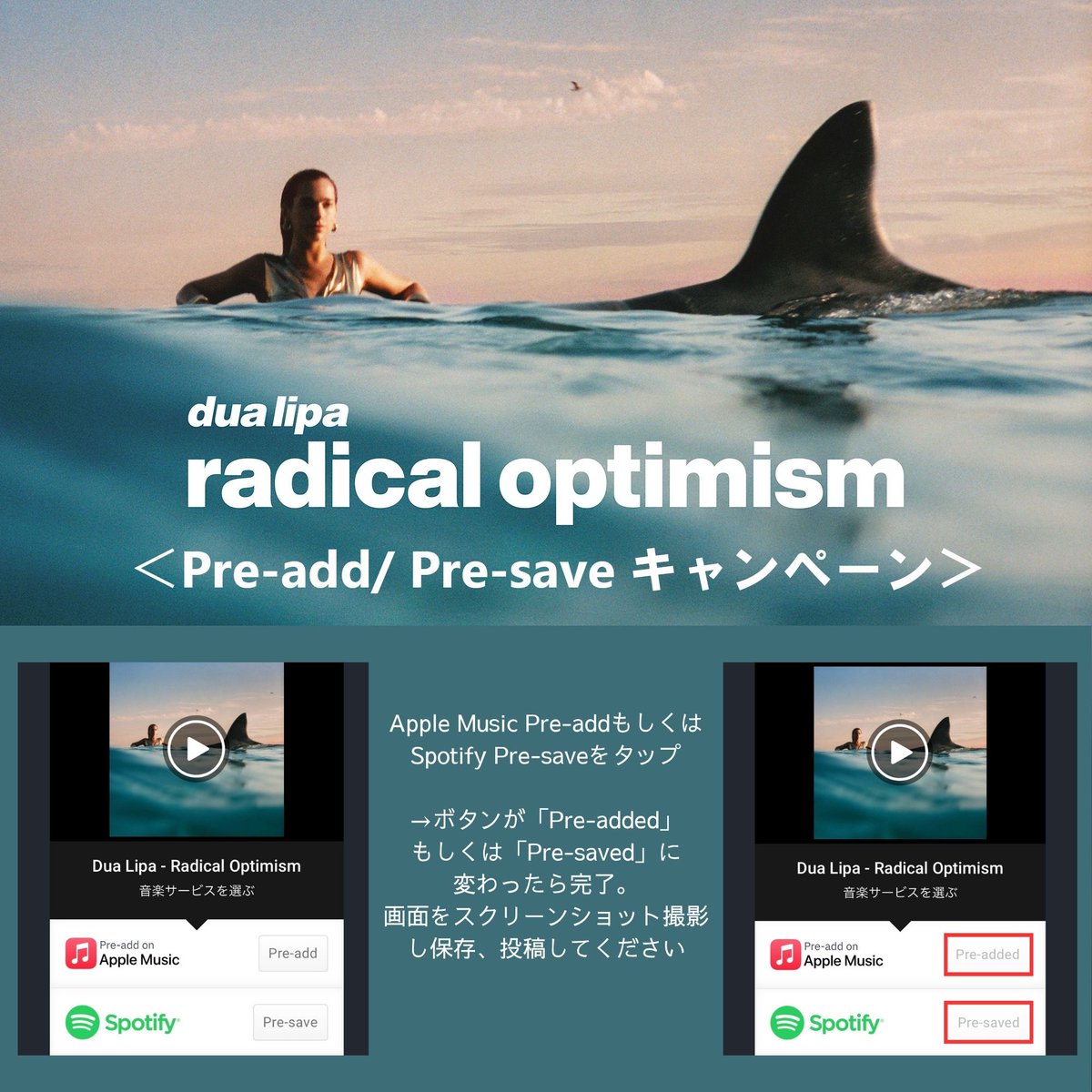 【Dua Lipa】
ニューアルバム
🌊『Radical Optimism』🦈
リリース記念
🎁キャンペーン開催✨

5/3リリース最新アルバムを
Pre-add/ Pre-saveして
オリジナルTシャツGET👕💓

ぜひ奮ってご応募ください！
締め切り　5/2 23:59
当選者数　2名様
応募方法は画像をチェック✔

アルバムのPre-add/…