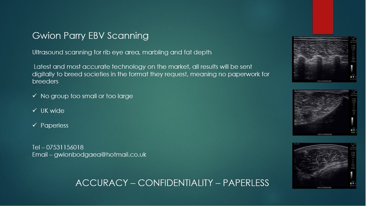 Gwion Parry tweet media