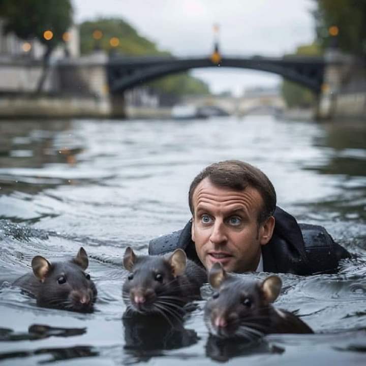 Trouvez le rat sur la photo, pas facile.... #JO2024 #MacronDestitution #Macronordure #guignol #pollutionmacroniste