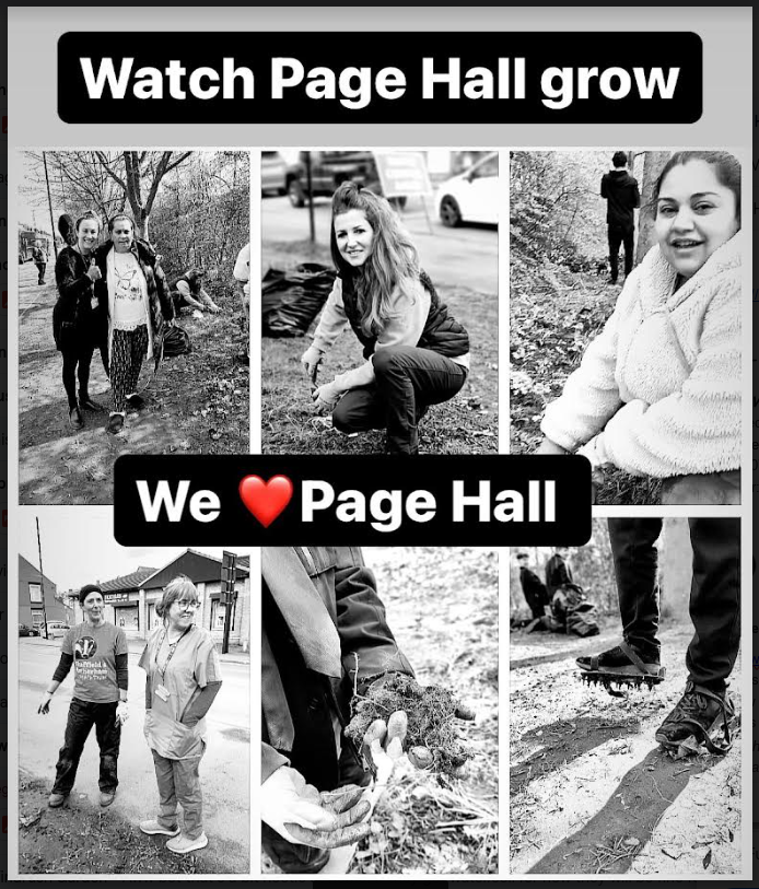 💚#watchpagehallgrow working together with @WildSheffield @pagehallhealth @FirValeSchool @WhitewaysY3 @OwlerBrook @Chilypep @SheffCouncil #welcomingculturesuk we planted wildflower bulbs and scattered hedgerow flower seeds along the verge 🌼🌸#naturerecoverysheffield