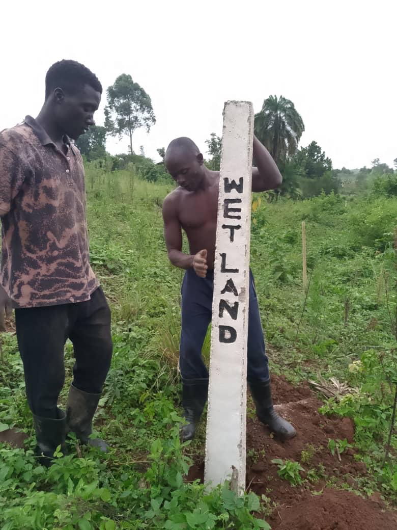 Thanks to the EU-funded project, NU is supporting the planting of pillars to mark boundaries of #wetlands in Kyegegwa & Kamwenge districts. Clear demarcation is key for #conservation, preventing encroachment & protecting vital habitats for wildlife. @EUinUG @ubf_info @WCSUganda