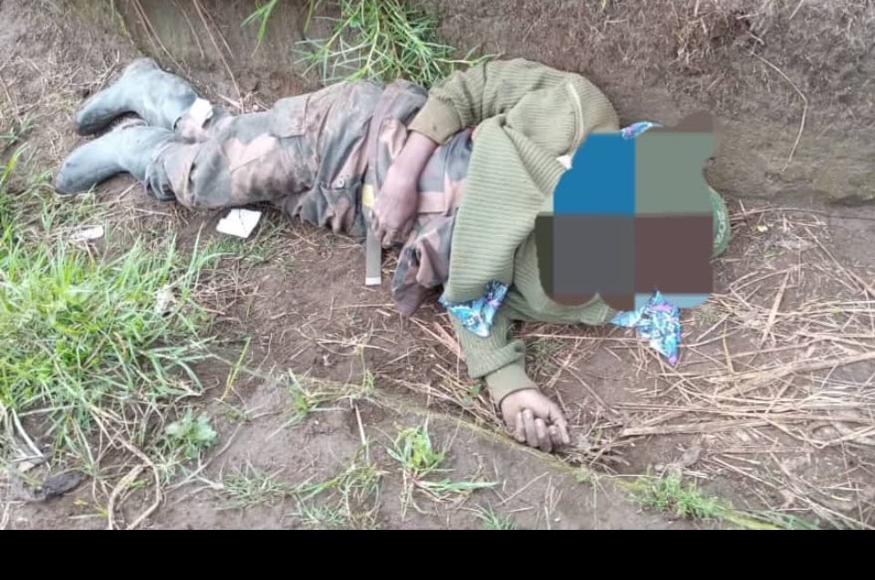 Kinshasa ‘s genocidal coalition is being disarmed by M23 , the offensive attack turned into another fiasco . Trenches turning into graves ,FDLR and its allies are still in skirmishes around Rubaya. M23 refused to oust them from these mineral  fields