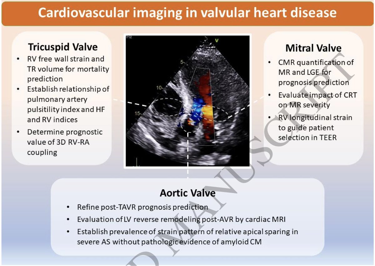 Read how #cvimaging research & innovation have changed. Is #AI a new tool? How has #HF changed? Is #VHD the new field of AI? What about #cardiomyopathies in 2023? Find all these answers in #EHJIMP 👉bit.ly/3UCJFUx #CardioX #Echofirst @ehjimpeic @ezancanaromd @jgrapsa