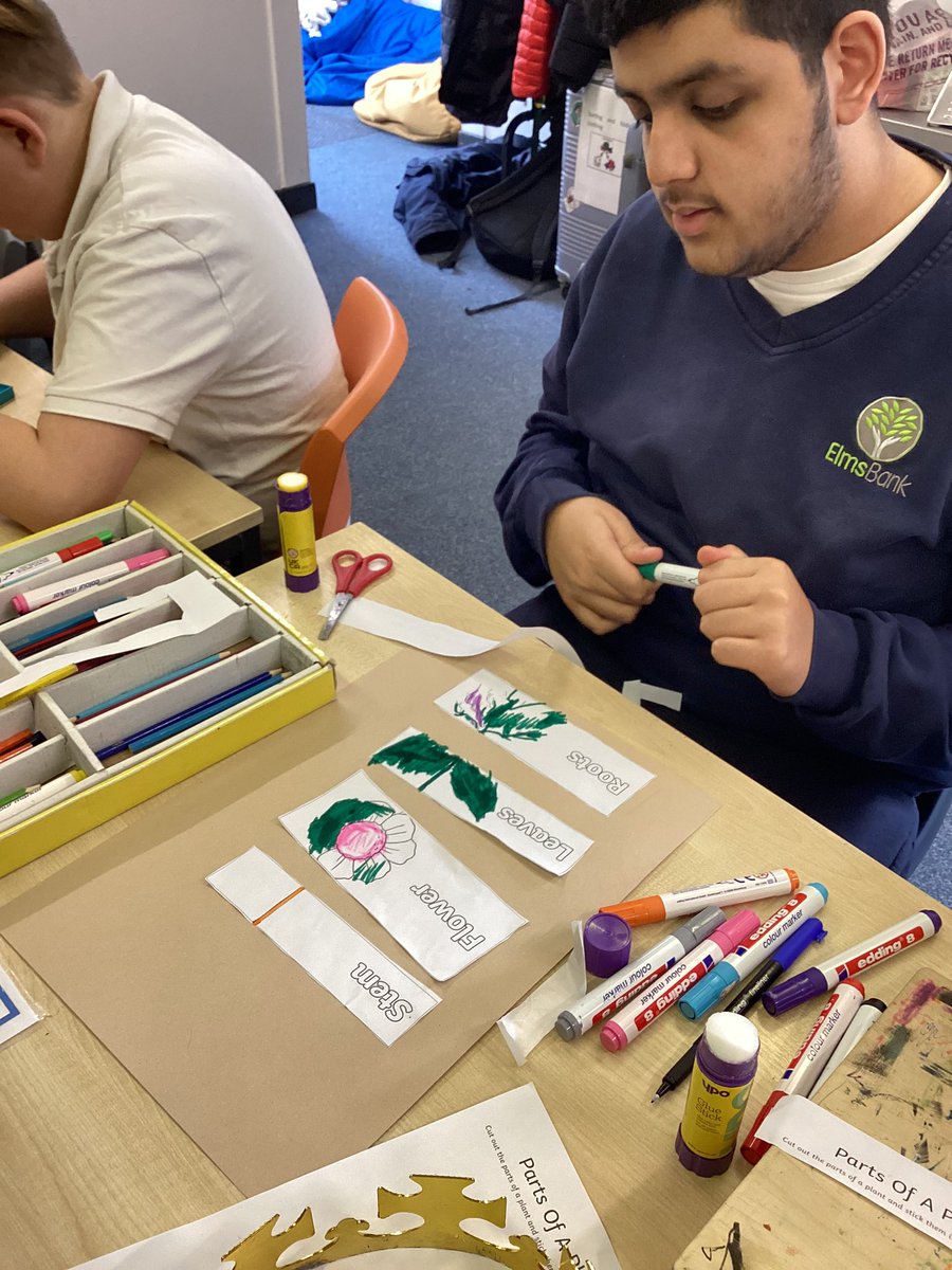 Ripon Team have created posters to share their understanding of plant growth.🌱 #ExplorePathway #CreativeStudiesatEBS