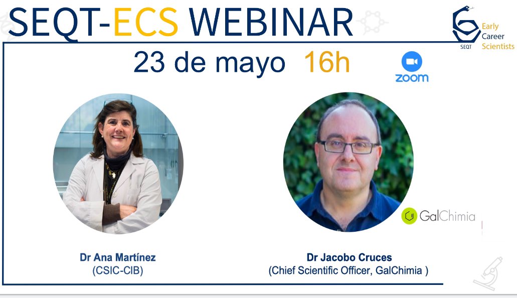 📣 ¡No te pierdas nuestro segundo webinario #SEQT_ECS ! 🤗 👉Contaremos con la Prof. Ana Martínez @CIB_CSIC que impartirá la charla titulada: 'What lies beyond the drug?' Y con el Dr. Jacobo Cruces de @GalChimia que nos hablará de 'Drug Discovery: the CRO perspective'.