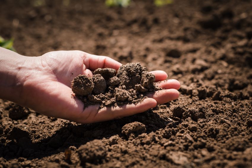 📢#Suolo: 100 anni di @IUSS_ORG , la società internazionale delle scienze del suolo, fondata in Italia. Le scienze del suolo per il pianeta. 👇

crea.gov.it/-/suolo-100-an….